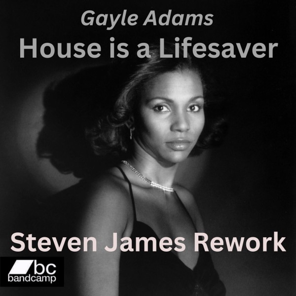 House is a Lifesaver (Steven James Rework with Reprise)