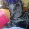 loulou999